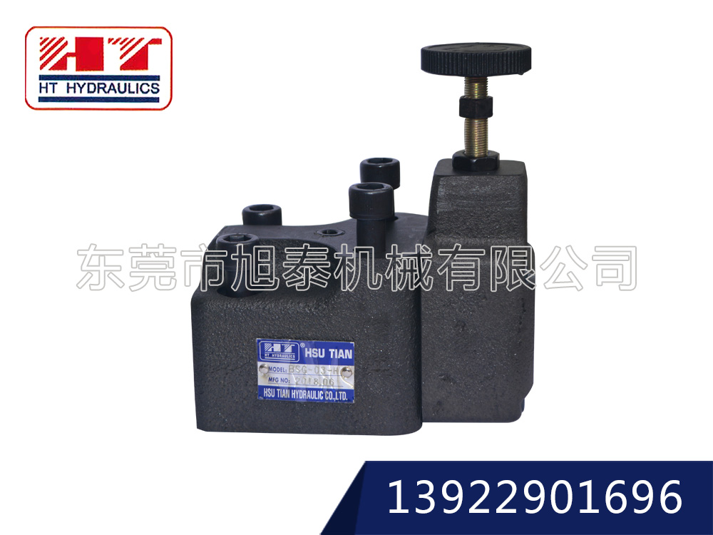 電磁控制溢流閥-BSG-※